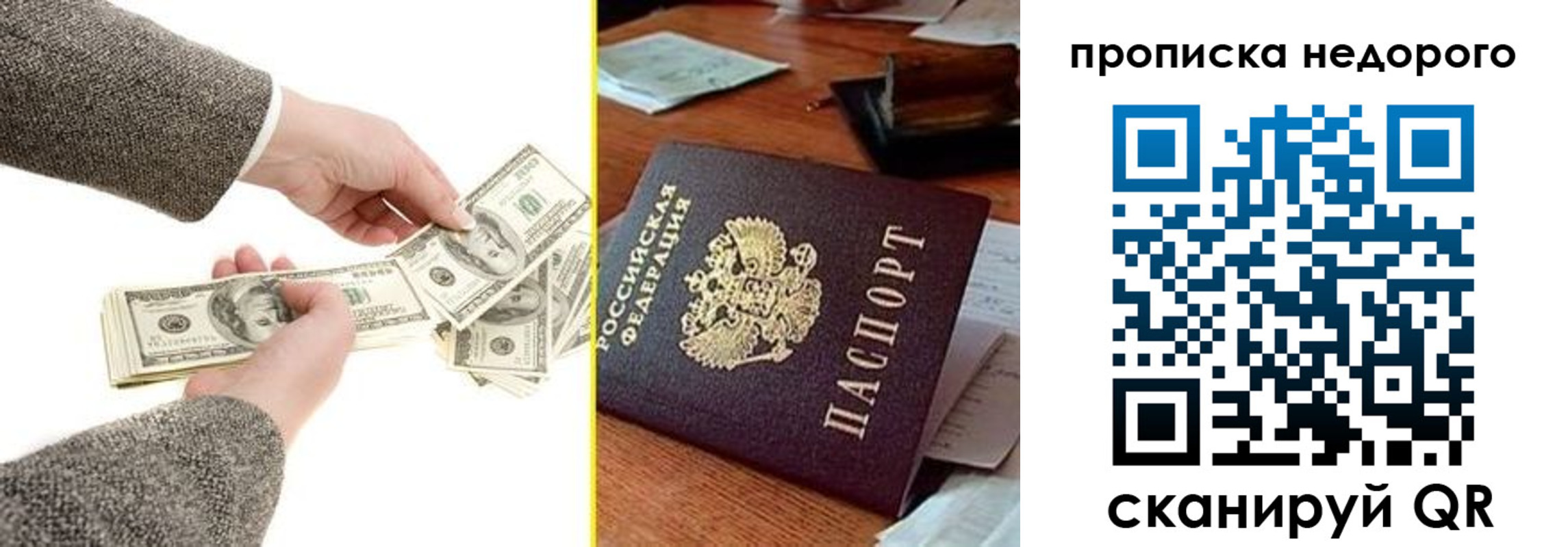 прописка для работы в Бабаево
